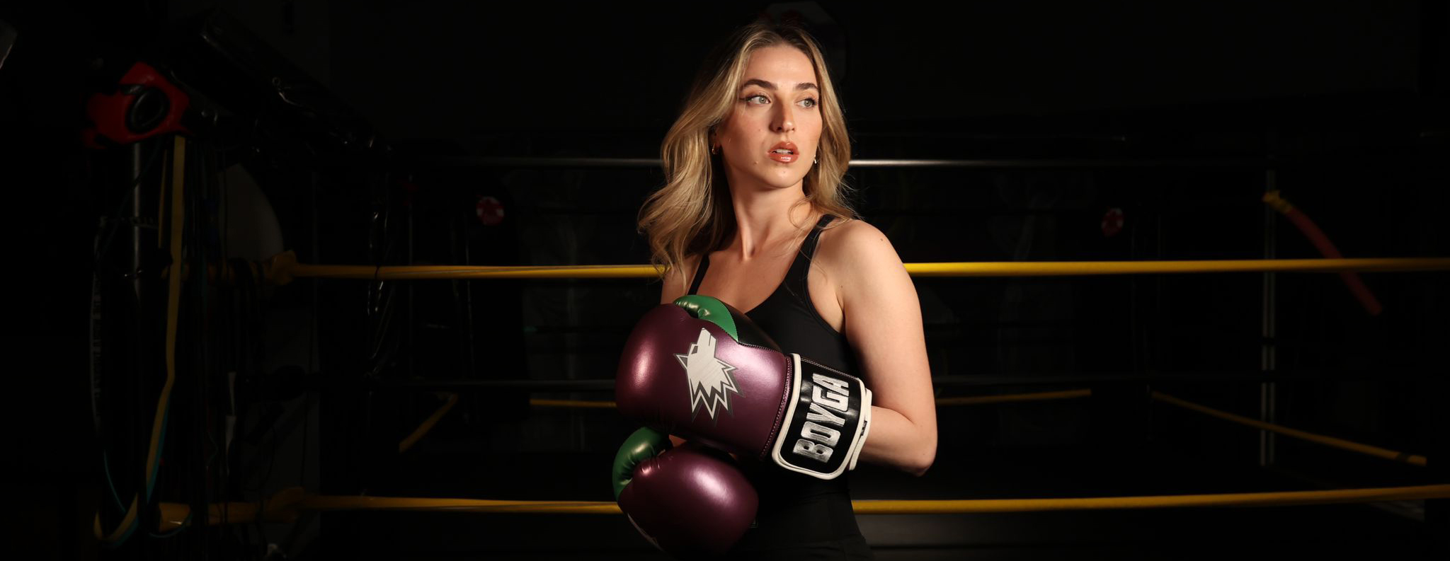 Boyga Boxing